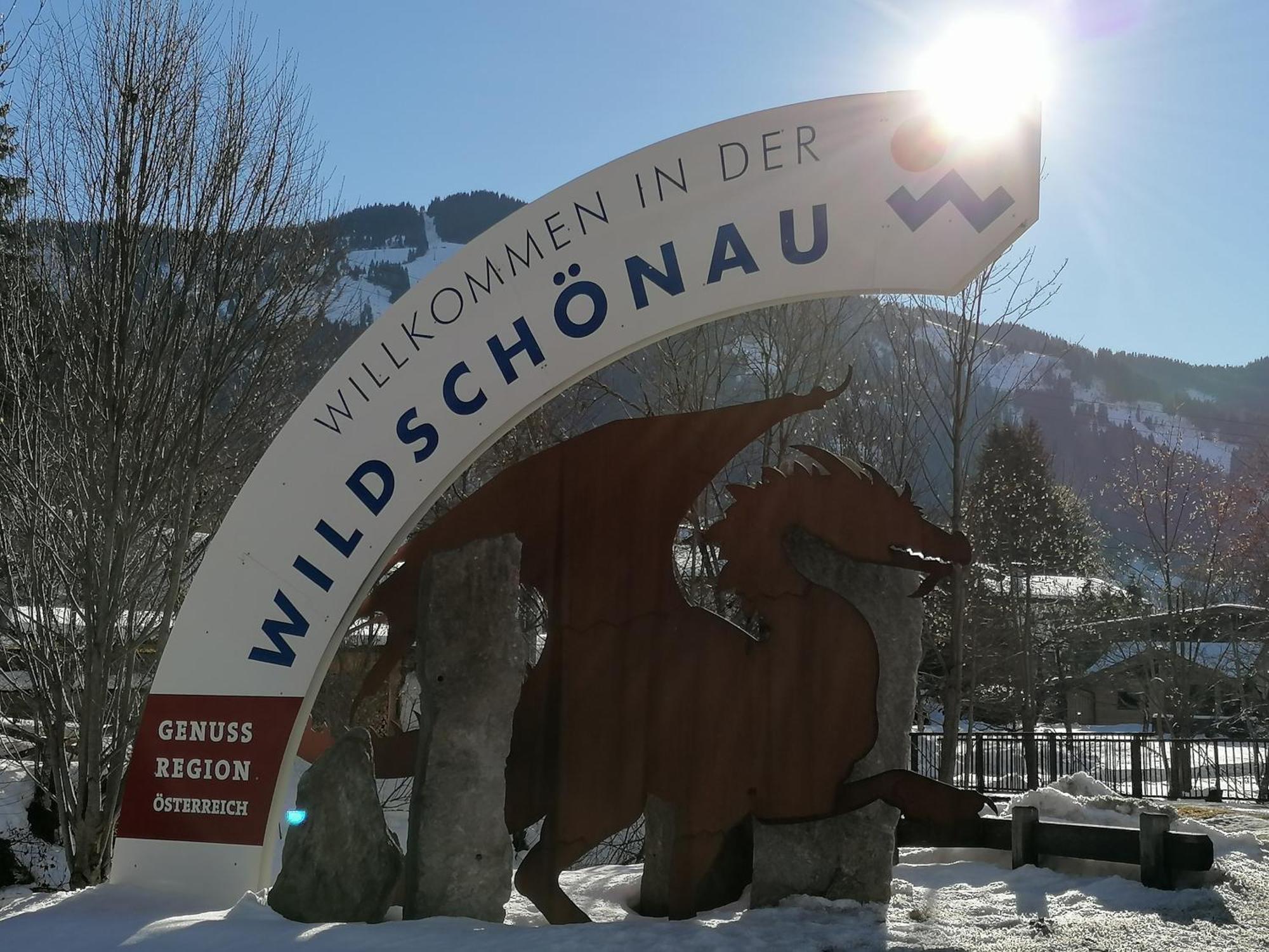 Loya Chalet Wild32 Oberau Eksteriør bilde